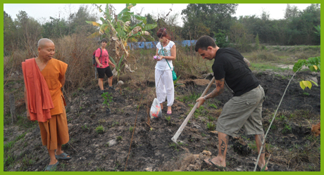 Planting